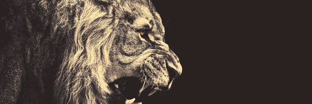 Samroyalblue's profile banner image