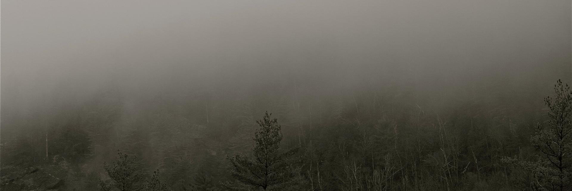 Rbdymond's profile banner image
