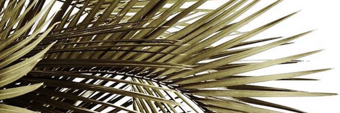 daniloogar's profile banner image