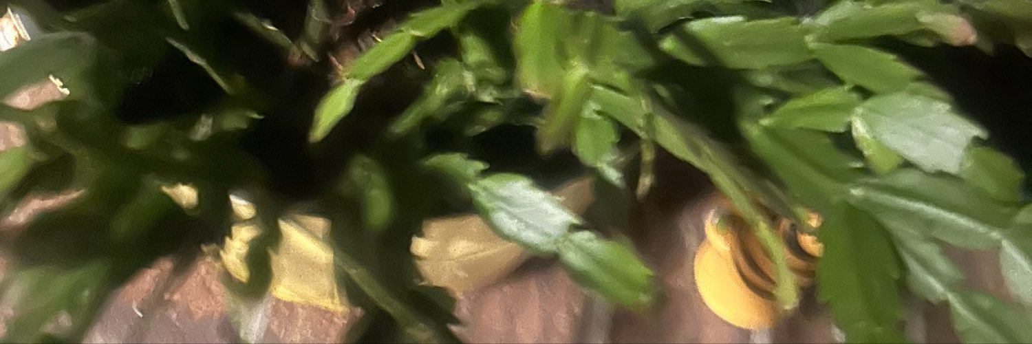GuicyOne's profile banner image