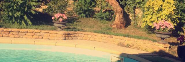samekimia's profile banner image