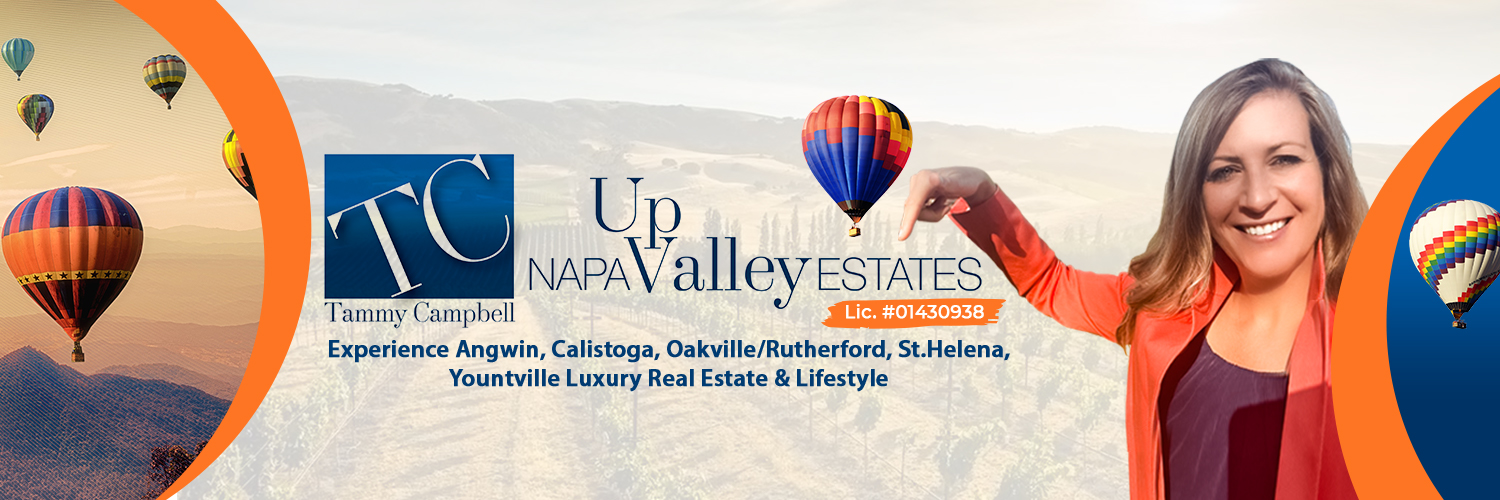 NapaValleyAgent's profile banner image