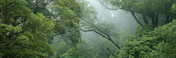 ninicekelat Profile Banner