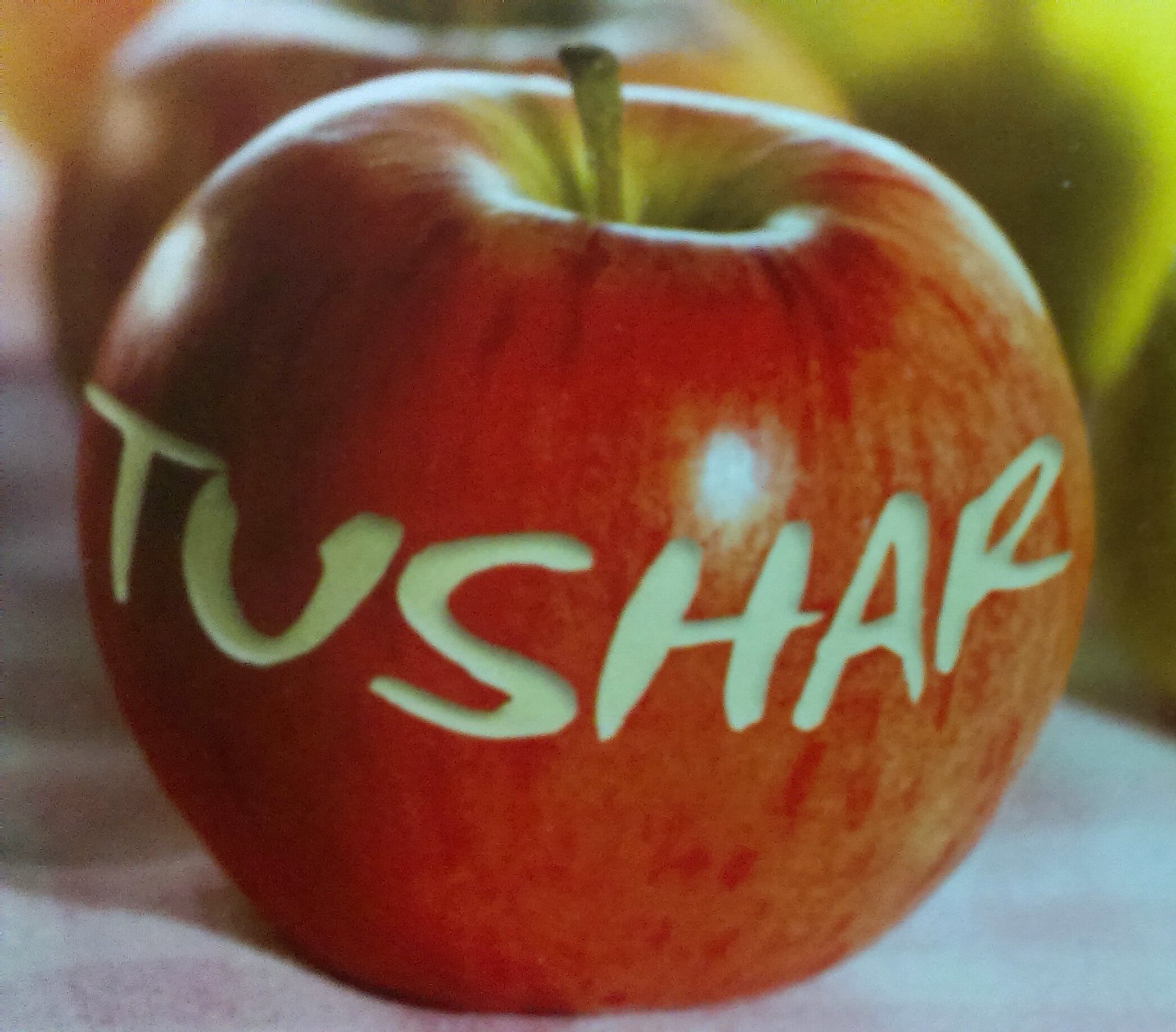 TMESHRAM's profile banner image