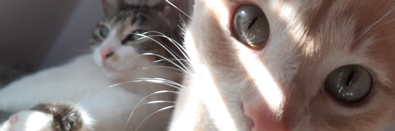 andrescastaeda_'s profile banner image