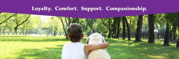 DAISofDaneCo Profile Banner