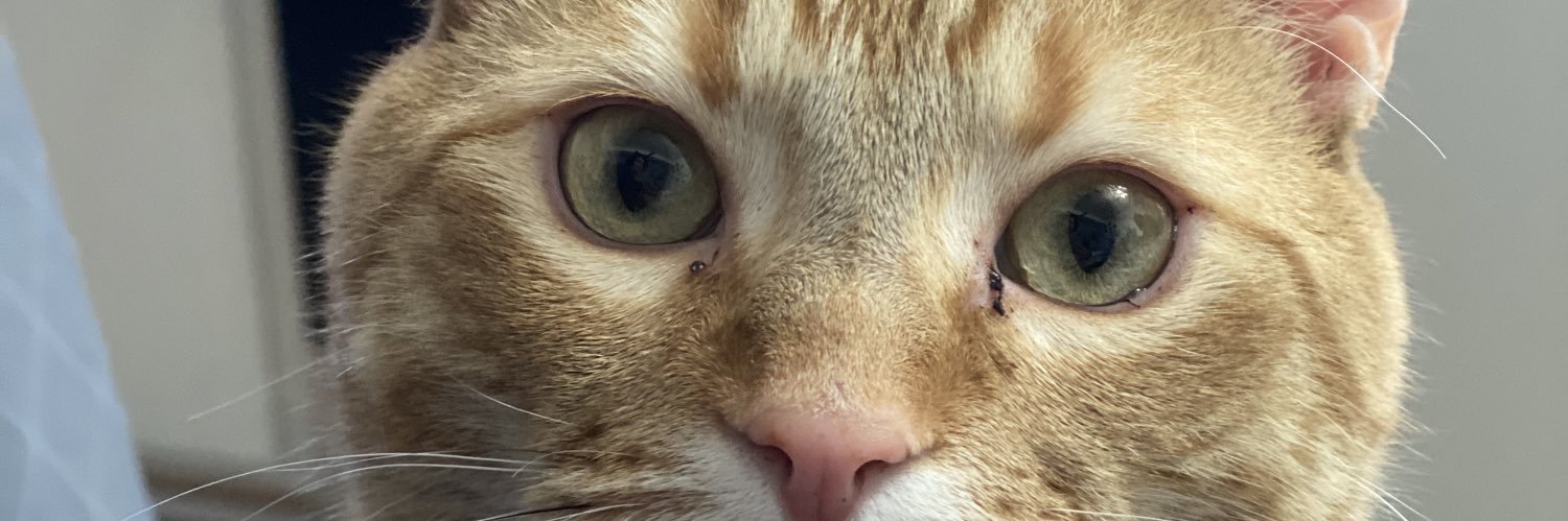 Alexdeathwish's profile banner image