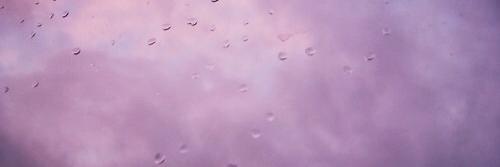 clarissecsgdr's profile banner image