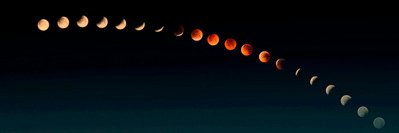 𝓡 𝓸 𝓾 𝓼 𝓮 ☾ banner