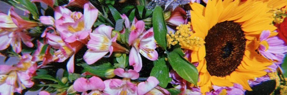 LVRS__'s profile banner image