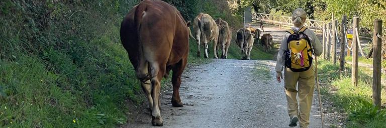Ana Velarde Muñoz banner
