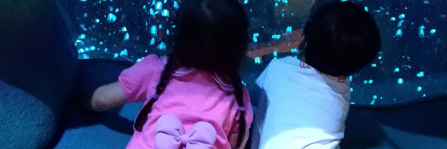 Ha8chi8chi's profile banner image