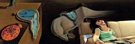 whadduphaley's profile banner image