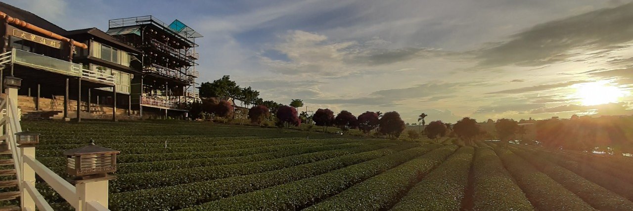 longdinh_tea's profile banner image