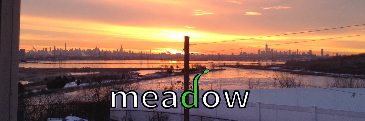 MeadowLearning's profile banner image