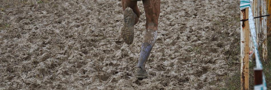 Vicente Capitán Peña banner