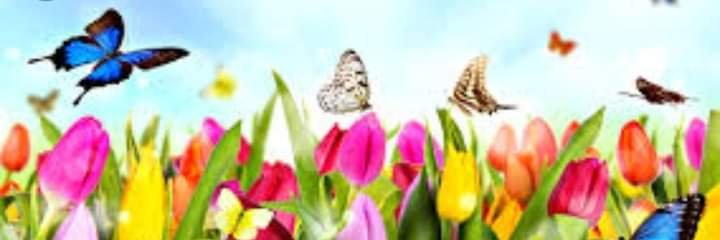Da_GranDiva's profile banner image