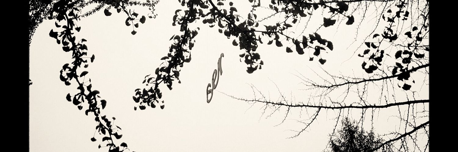 miradasdeperfil's profile banner image
