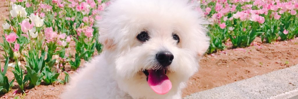 nah0oooo's profile banner image