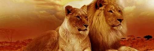 RuislipLions's profile banner image