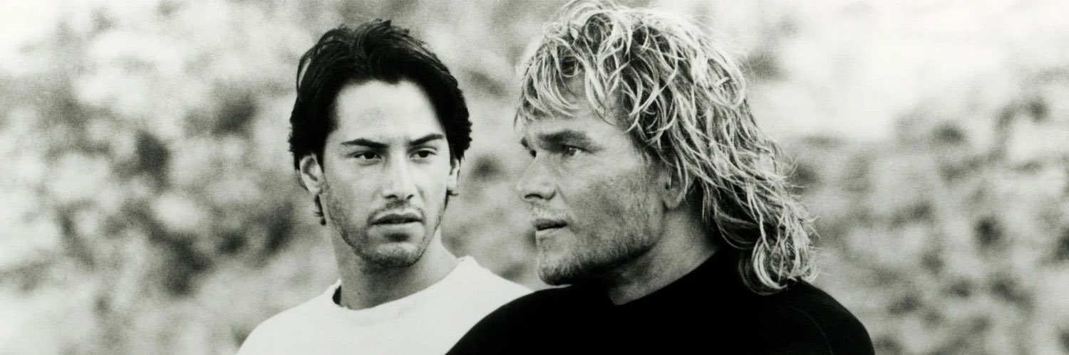 Merdo 🦭/acc banner