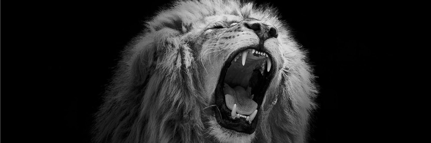 𝑺𝒂𝒏𝒋𝒆𝒆𝒗 𝑺𝒉𝒂𝒓𝒎𝒂, Please follow banner
