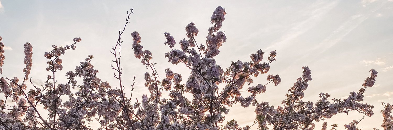 bestofthebetts's profile banner image