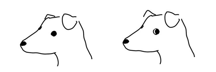 diegodorigo's profile banner image