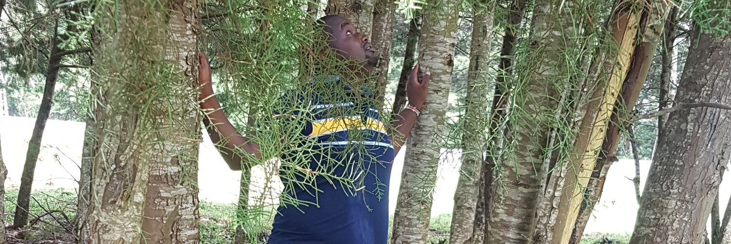 kemboik's profile banner image