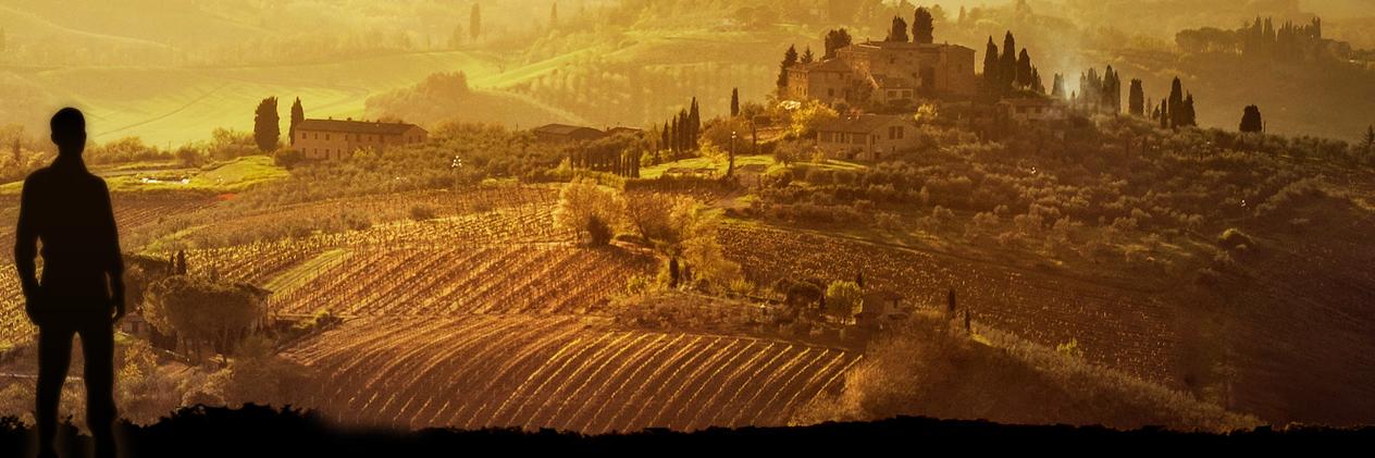 chefcommisso's profile banner image