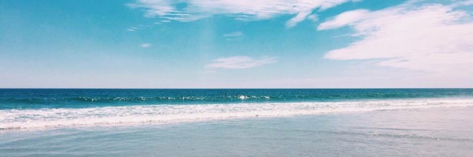 nellieshaw's profile banner image