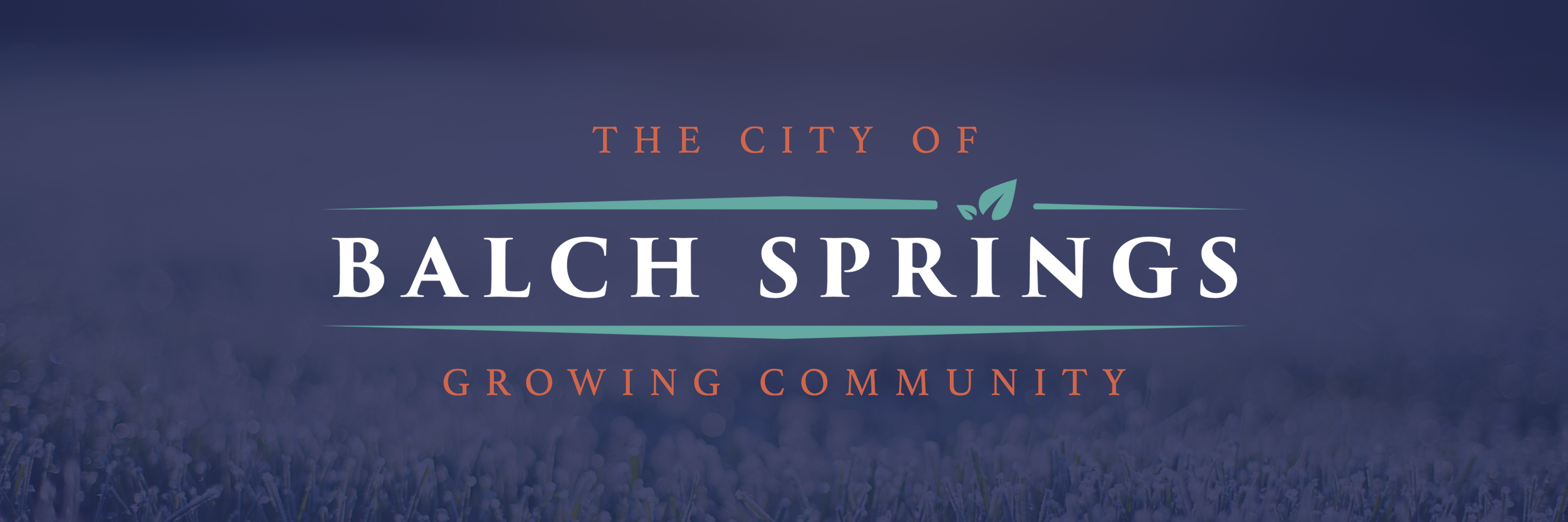 Balch Springs, TX banner