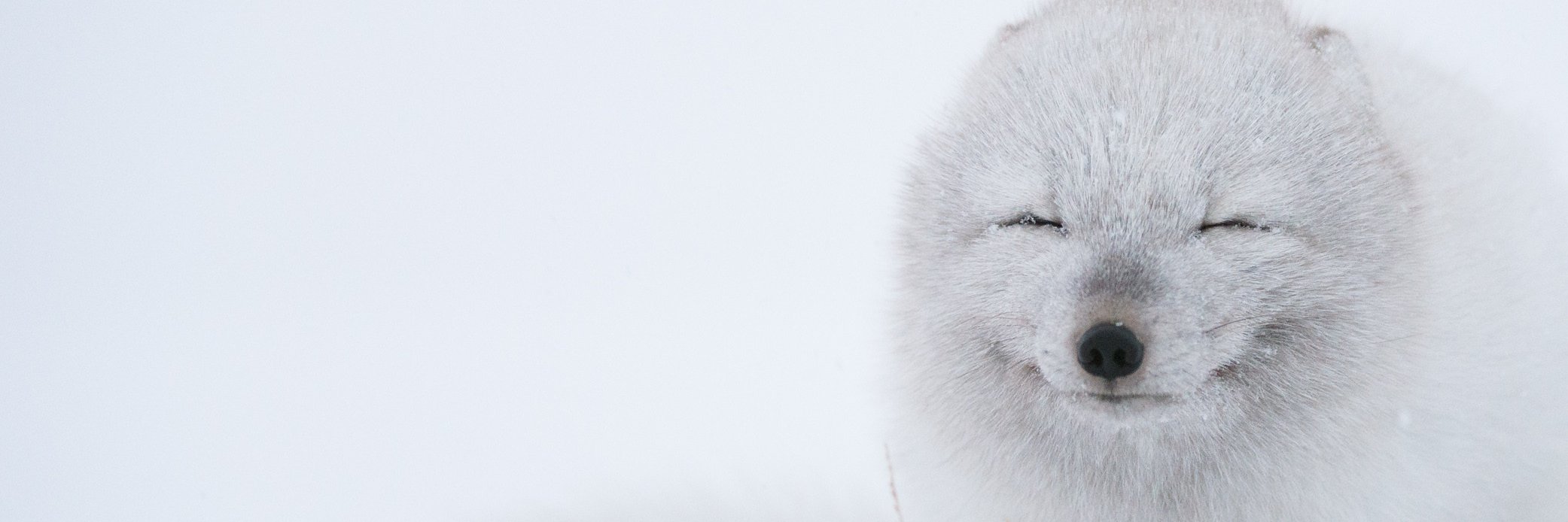 LouisEstherr's profile banner image