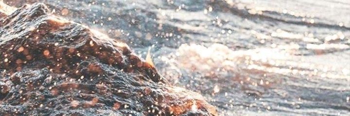 ylegria's profile banner image