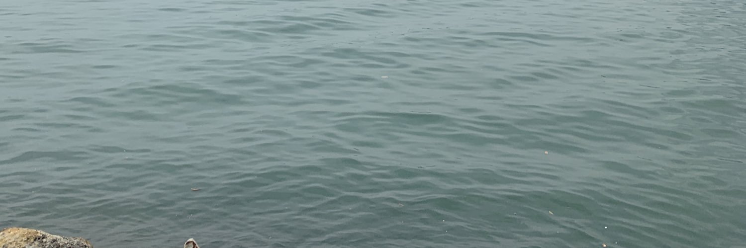 zymm__95's profile banner image