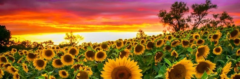 kikaaaax's profile banner image