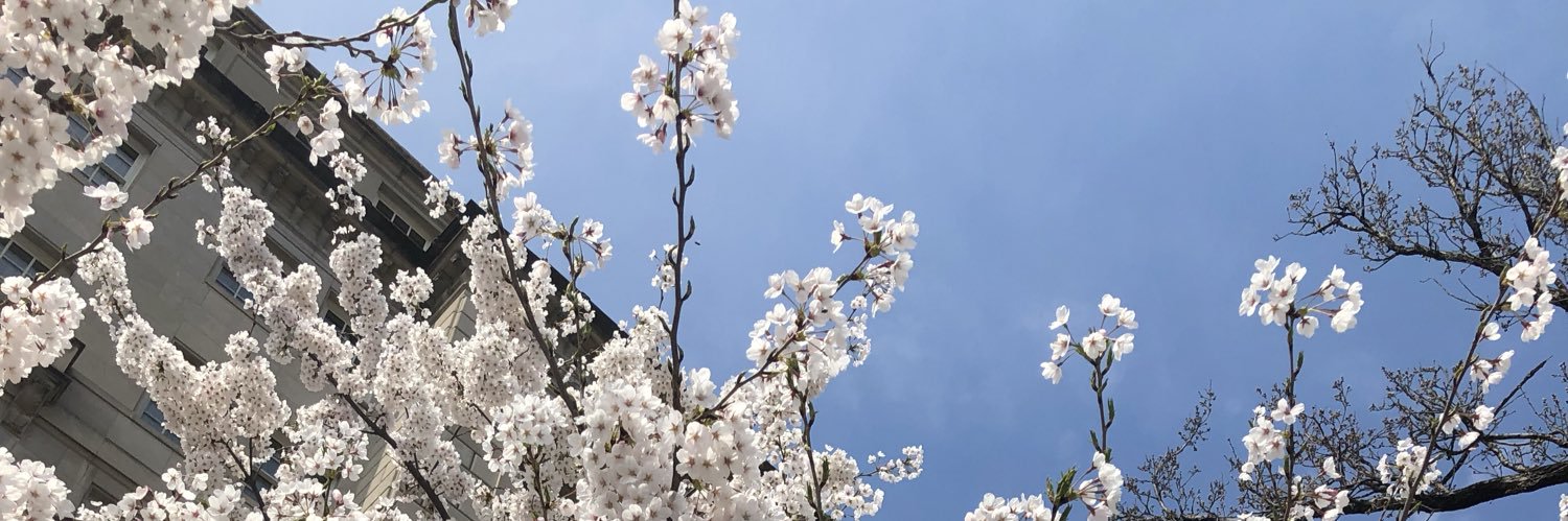 Gretchen Livesey banner