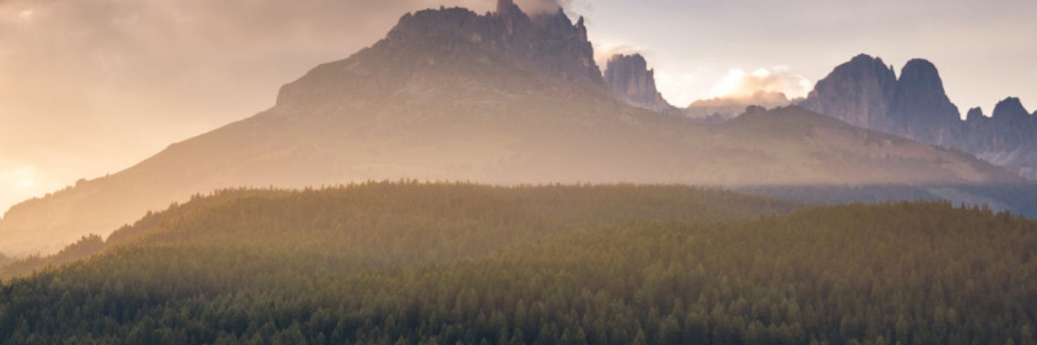 kevinpmcaloon's profile banner image