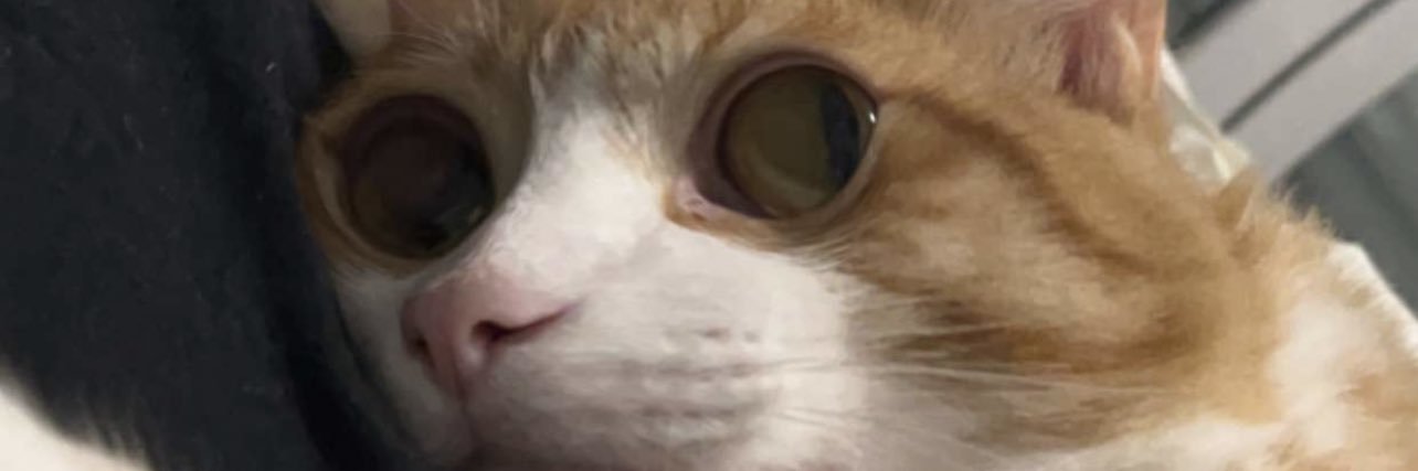malalarkts's profile banner image