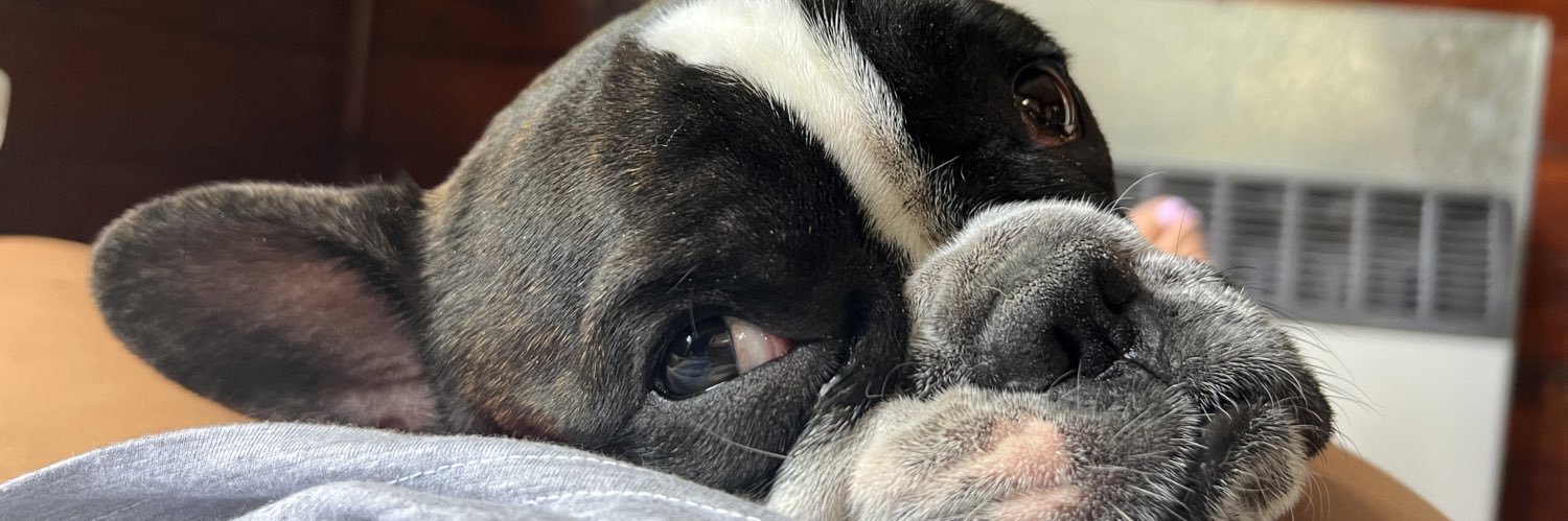 Julibottarox's profile banner image