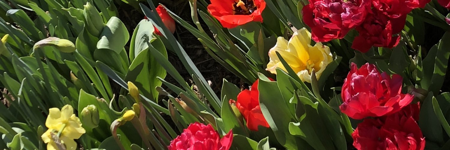 Matti_Rose11's profile banner image