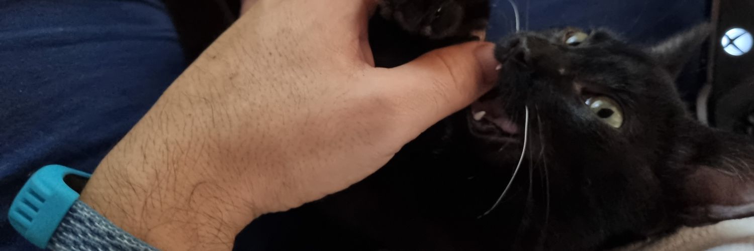 humcon31's profile banner image