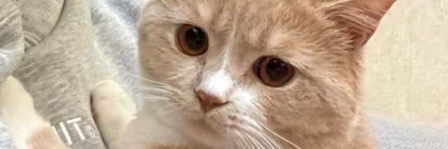 小陈警官~ banner