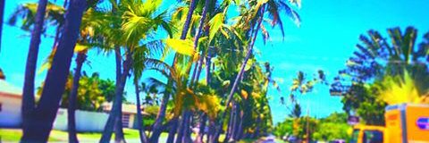 kotonodes's profile banner image