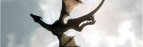 brendaleituras's profile banner image
