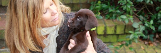 Diane Boyd, MBA, RD banner