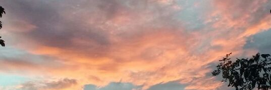Ndjgl_'s profile banner image