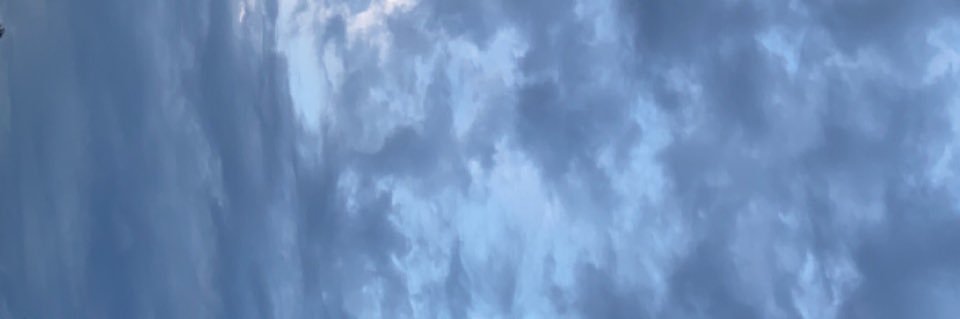TommyMarcott's profile banner image