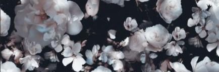 nxxnn : Qala Noir & The Killian banner