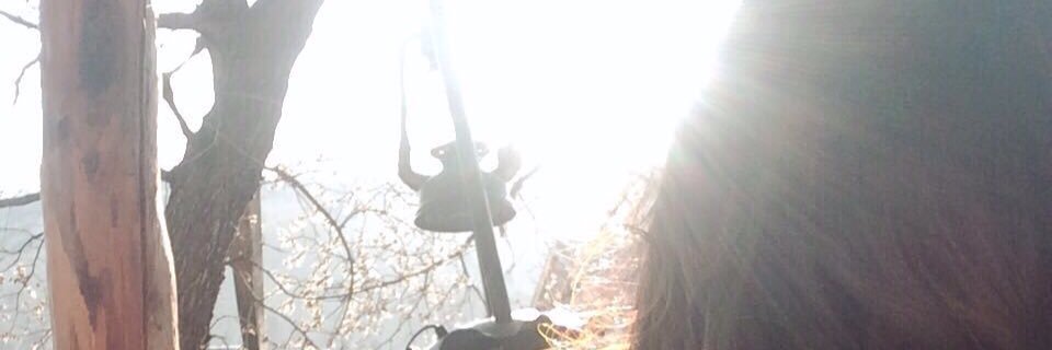 ZhanJama's profile banner image